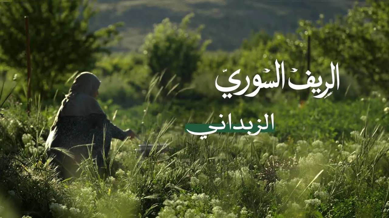 الريف السوري | الزبداني