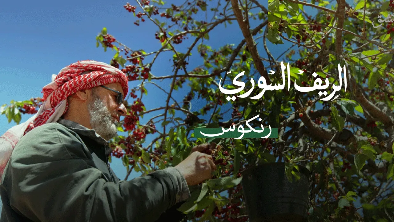 الريف السوري | رنكوس